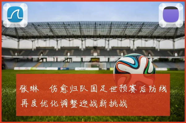 张琳芃伤愈归队国足世预赛后防线再度优化调整迎战新挑战